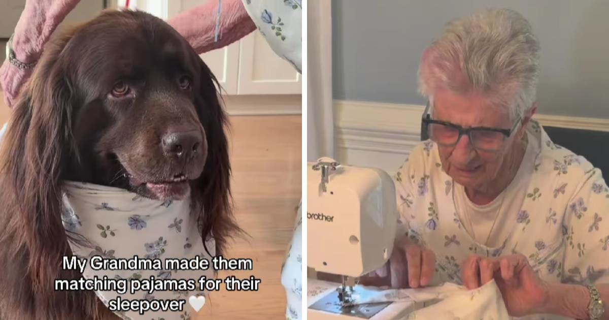 Baka i pas u matching outfitima za spavanje osvojili internet 🥰