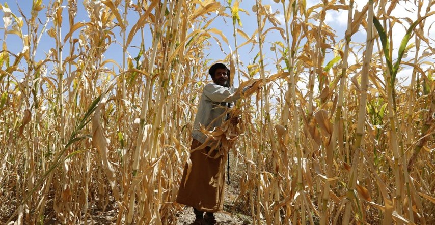 UN-ova agencija predstavila klimatski akcijski plan za hranu