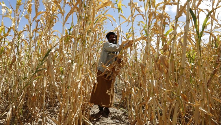 UN predstavio klimatski plan za hranu, želi do 2025. značajno smanjiti broj gladnih