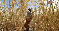 UN-ova agencija predstavila klimatski akcijski plan za hranu