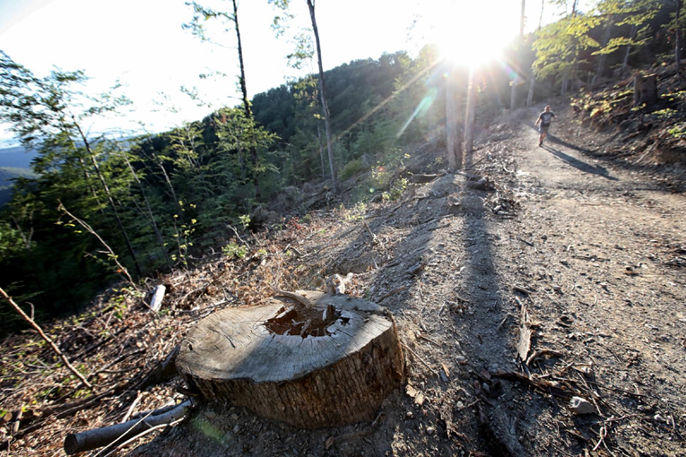 Je li sječa šuma na Medvednici pojačala razornu oluju u Zagrebu?