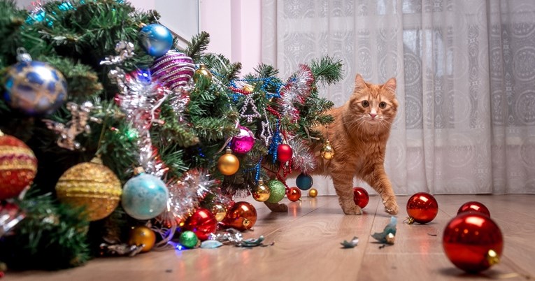 Pametni trik natjerat će vašu mačku da se drži podalje od božićnog drvca