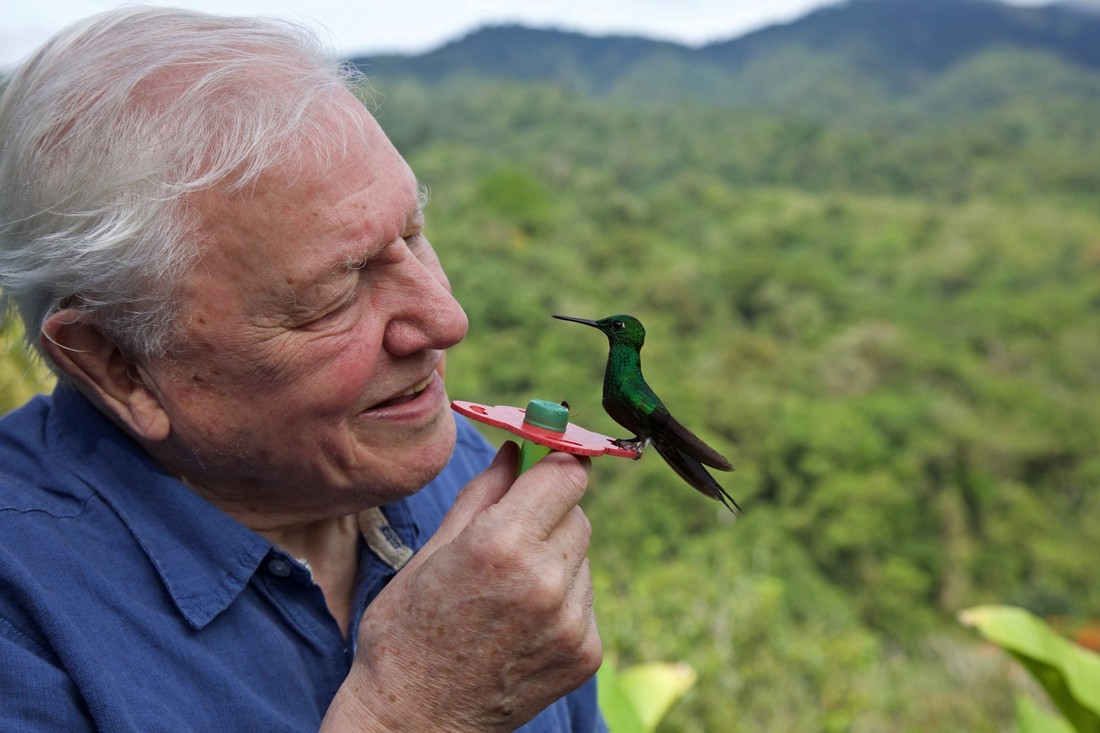 Hvalila ga kraljica, zovu ga "nacionalnim blagom". David Attenborough navršava stotu