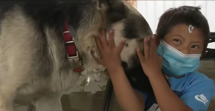 Dječak s Downovim sindromom odlutao od kuće, čuvao ga vjerni njemački ovčar