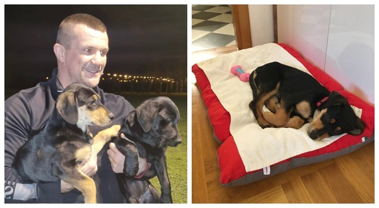 Mirko Filipović pronašao dom za dva šteneta koja su bila bačena uz cestu