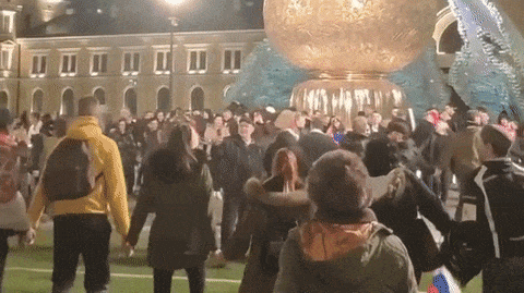VIDEO Deseci ljudi u Beogradu plešu užičko kolo. Drugi bijesni: Bagro jedna