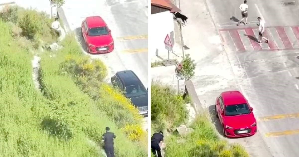 VIDEO Širi se snimka nakon tučnjave u Splitu. Vezani navijač pobjegao policajcu?