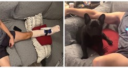 VIDEO Vlasnik je ozlijedio nogu, a pas ga kopirao glumeći da se i on ozlijedio