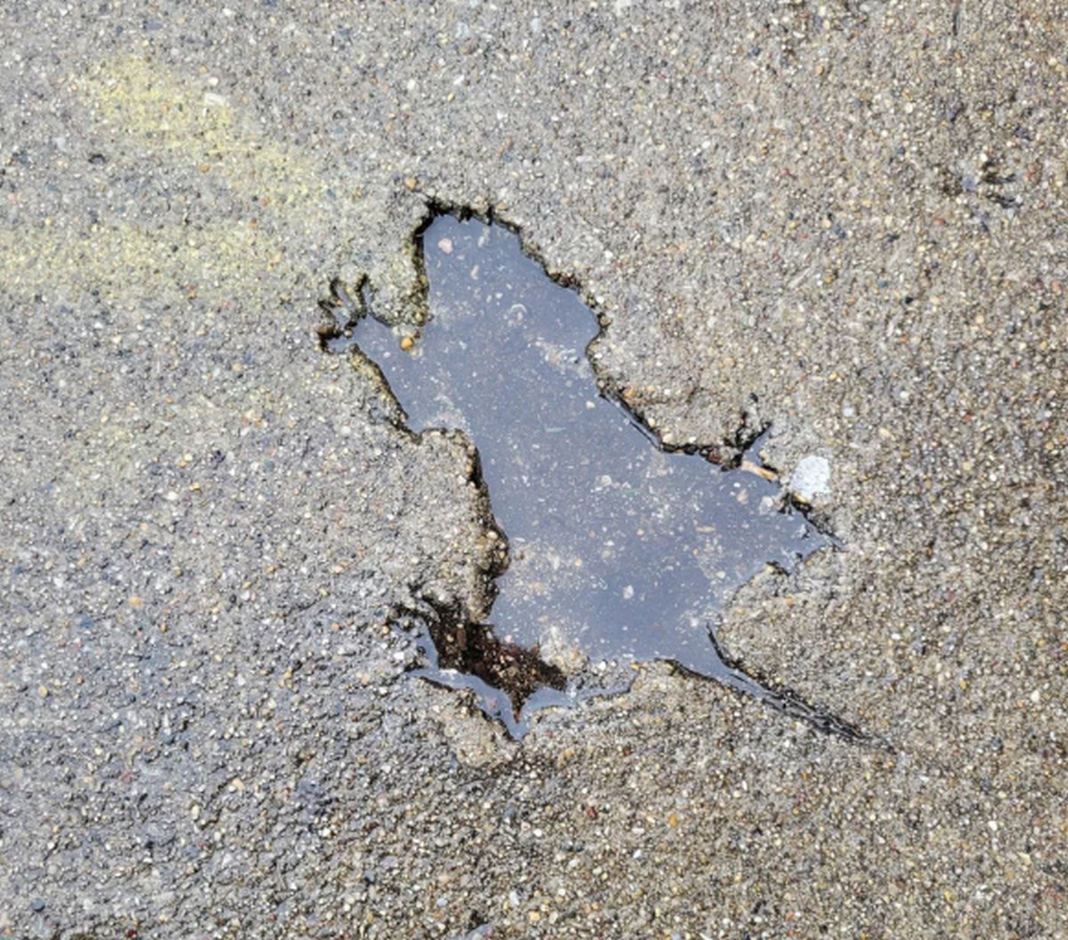 "Štakorska rupa" u Chicagu je postala viralni hit. Uopće ju nije napravio štakor