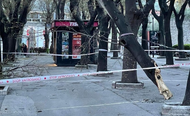 FOTO I VIDEO Olujna bura u centru Pule srušila ogromno stablo na ulicu
