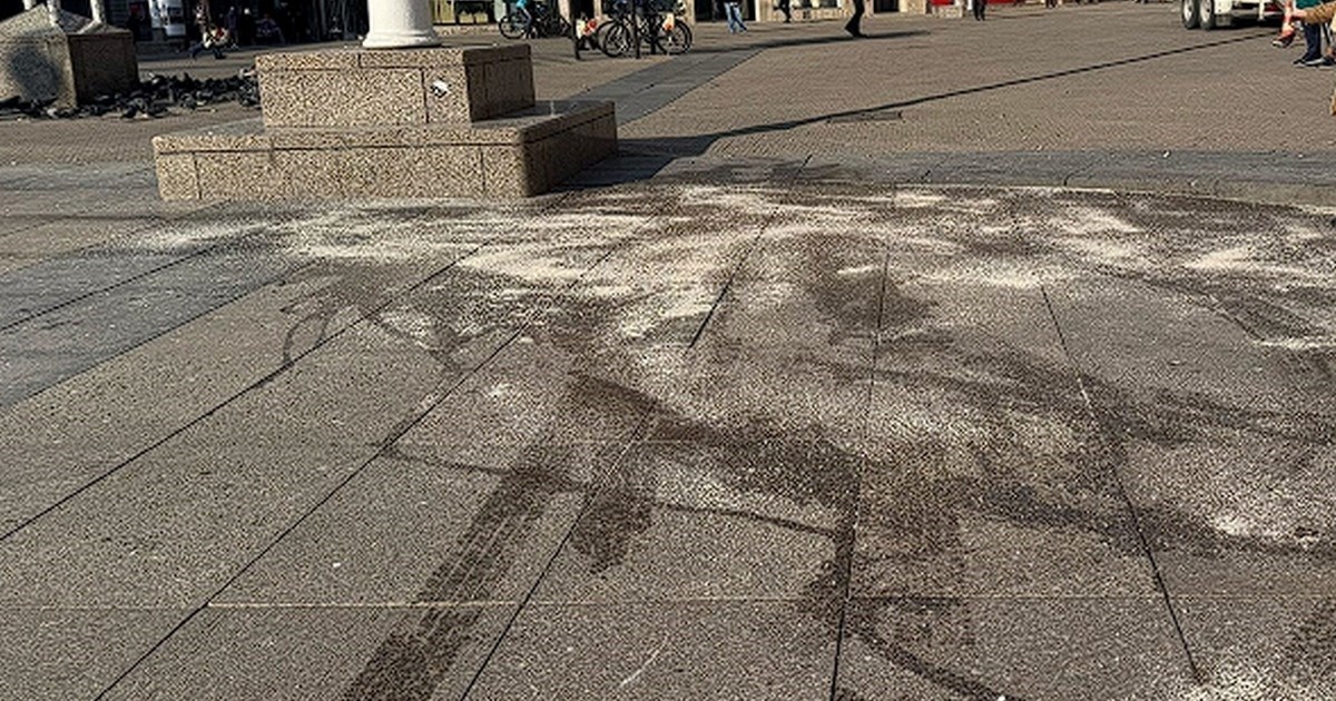 Policija se oglasila o vozaču koji je na Trgu bana Jelačića pregazio golubove