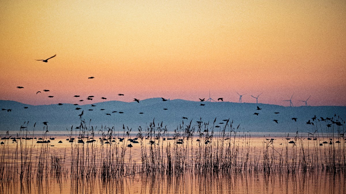 Počinje završni sastanak UN-a, 200 država razgovarat će o klimatskim utjecajima