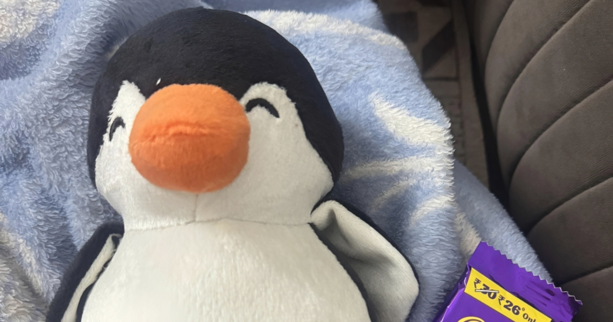 Nezaposleni suprug dirljivim poklonom ganuo ženu za Valentinovo