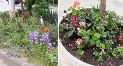 Bunt protiv gradskih vlasti: Sve je više mini vrtova, ima ih i u Splitu i u Rijeci