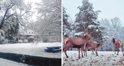 FOTO Prizori snijega na Papuku oduševili internet, predivno je i u Dolini jelena