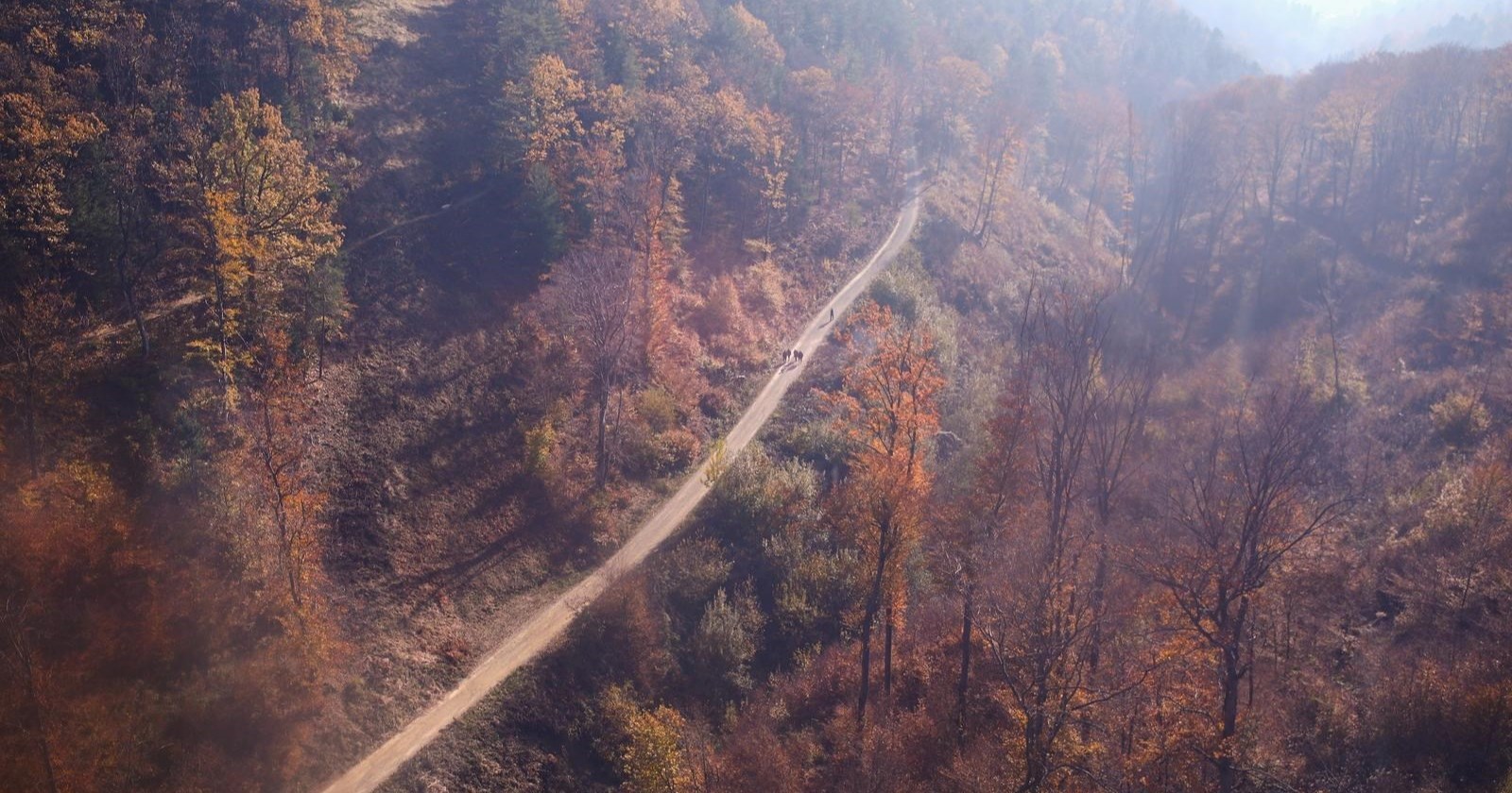 Fotke dana: Jesenska čarolija na Medvednici