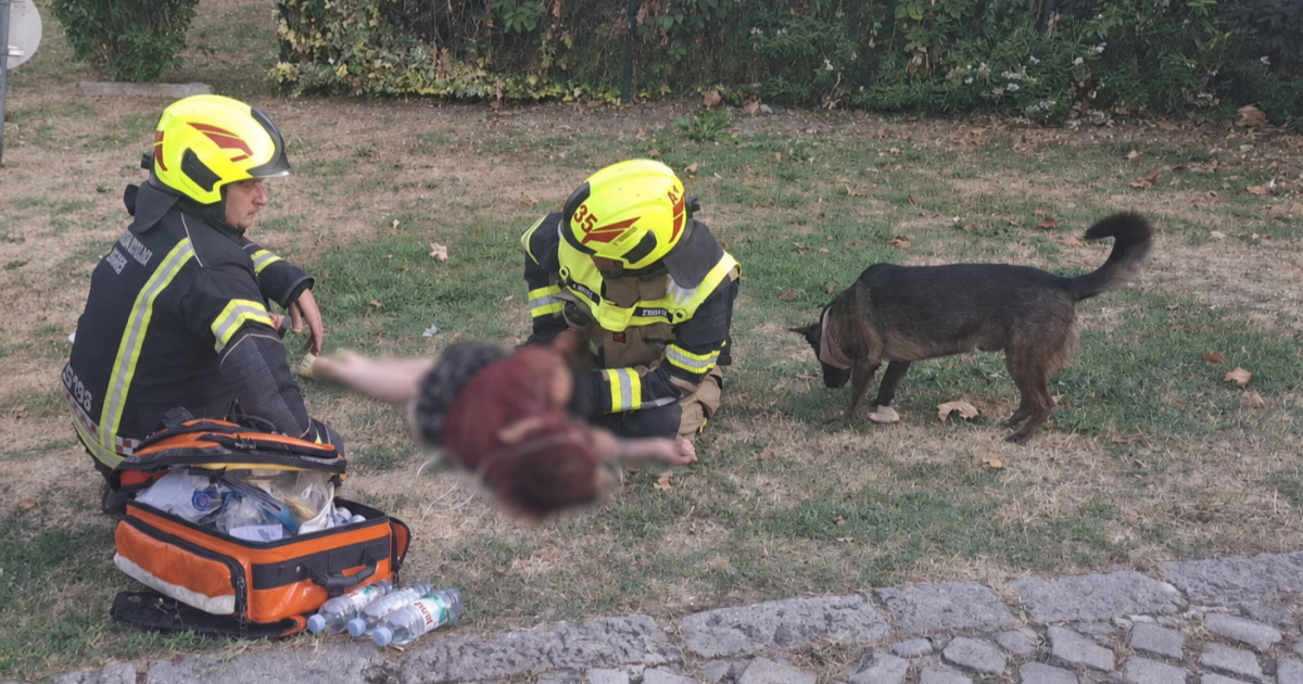 Požar u salonu za ljubimce u Zagrebu. Vatrogasci spasili vlasnicu i psa