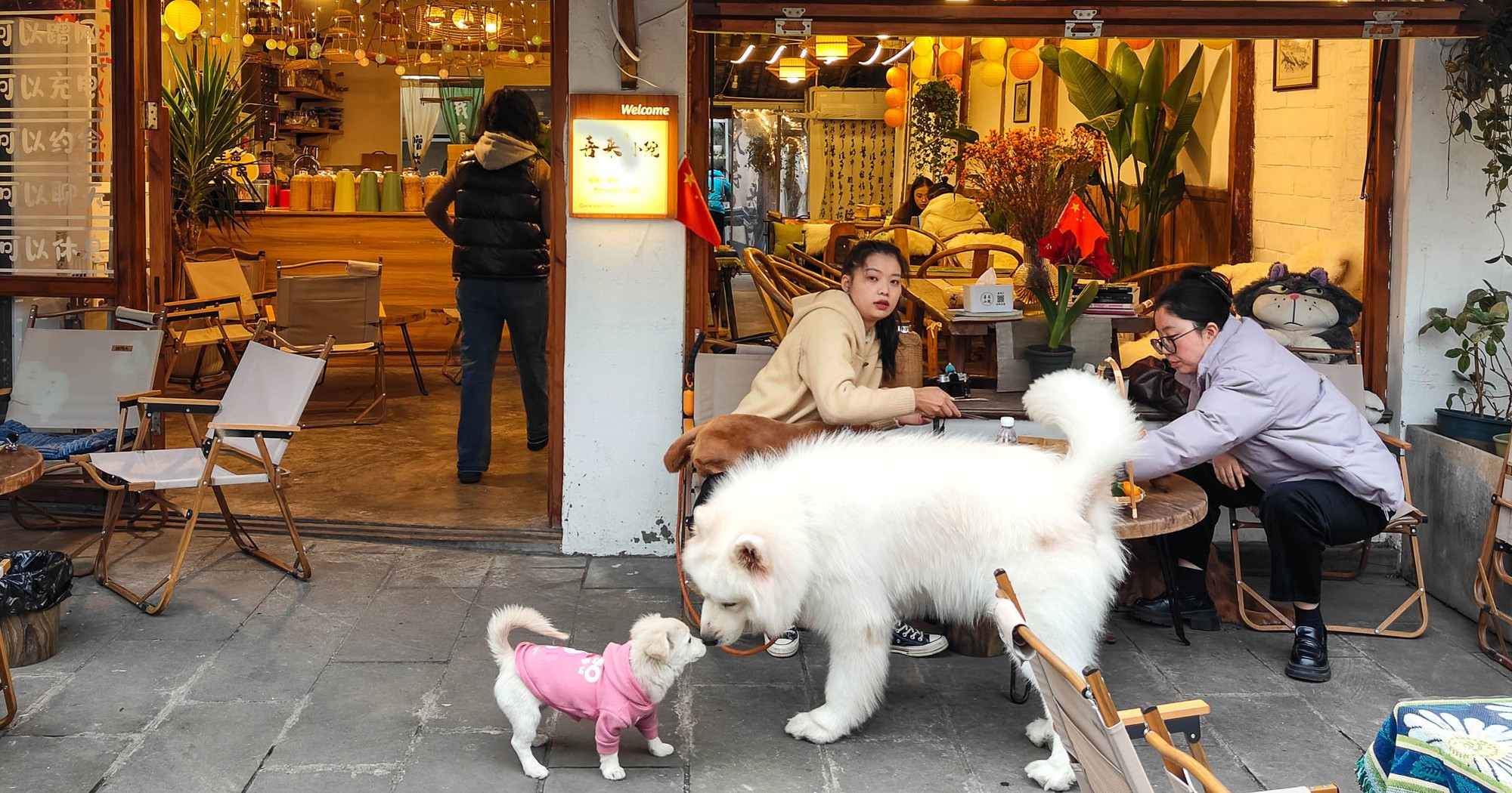 Kineska aplikacija za iznajmljivanje pasa izaziva kontroverze, veterinari zabrinuti