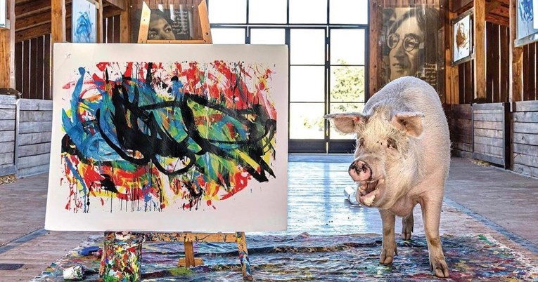 Svinja slikarica pomaže Ukrajini, njezina slika prodana za 15 tisuća kuna