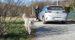 Komunalni redari u Zagrebu dijelili prekršajne naloge neodgovornim vlasnicima pasa