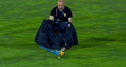VIDEO Utakmicu u Portugalu prekinuo papagaj na terenu