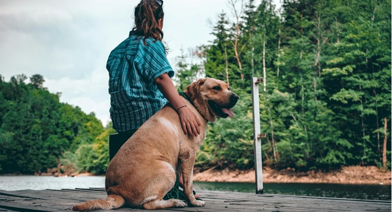 Pas vam sjedi okrenut leđima? Evo što vam time pokušava poručiti