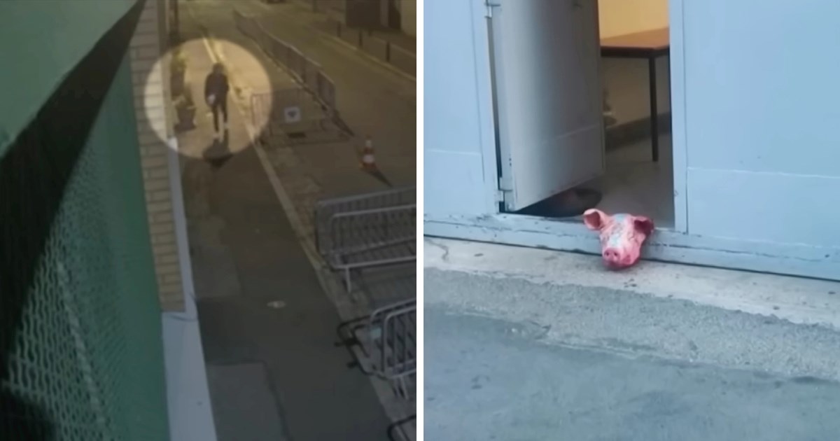 Uhićeno 11 Srba. Osumnjičeni su za postavljanje svinjskih glava kraj džamija u Parizu