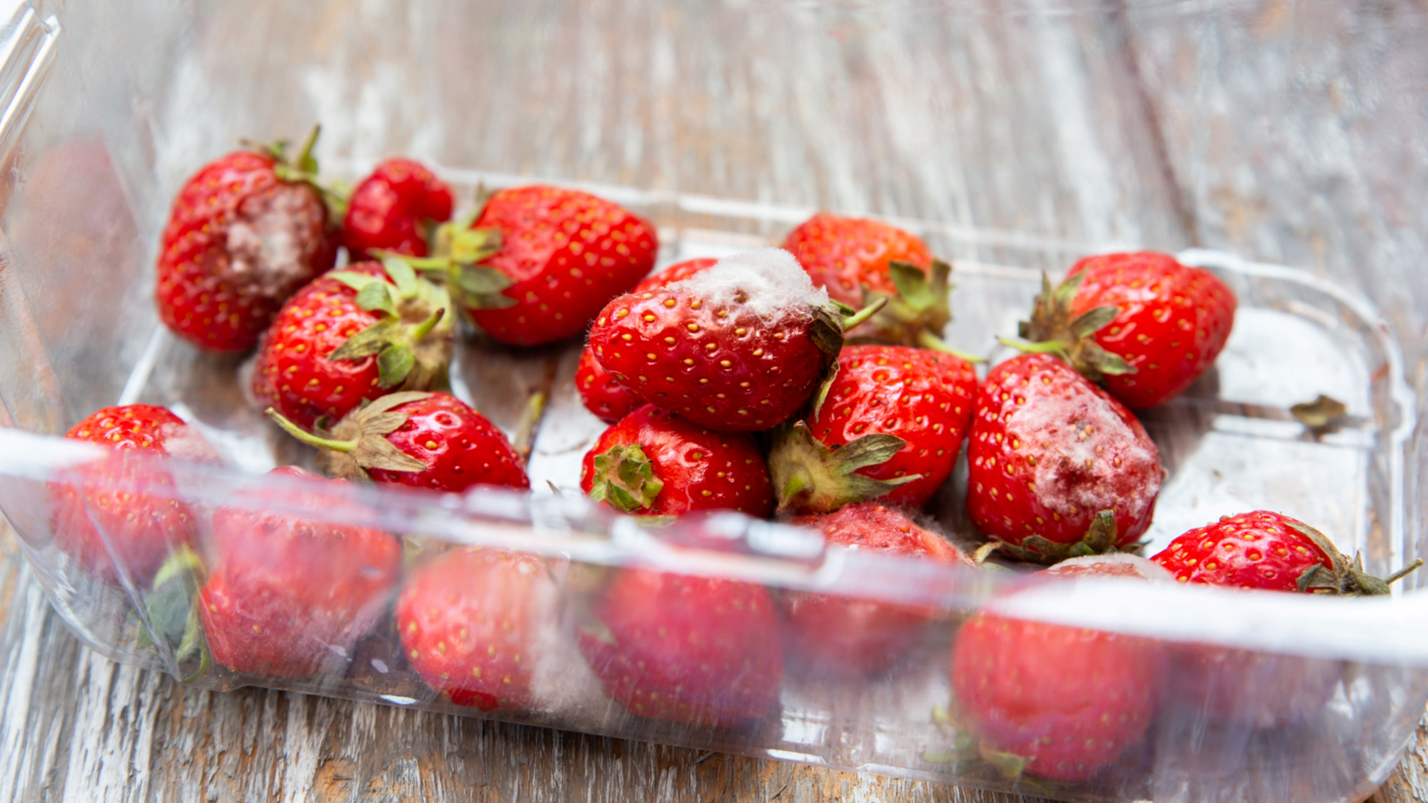 Kako pravilno čuvati jagode da se ne upljesnive