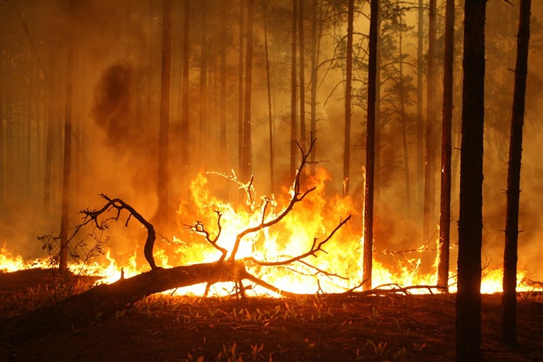 Europska služba za klimatske promjene: Sibirski požari izazvali rekordne emisije CO2