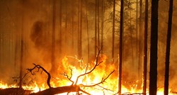 Europska služba za klimatske promjene: Sibirski požari izazvali rekordne emisije CO2