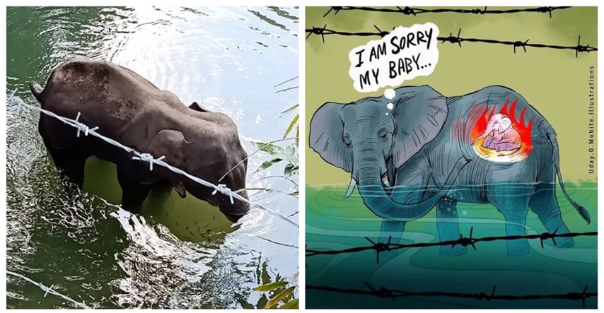 "Oprosti nam": Umjetnici crtaju u čast trudne slonice ubijene petardom u ananasu