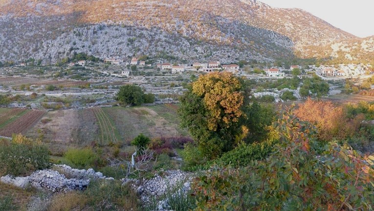 Mladić u Dalmaciji ubio očuha bagerom, zakopao ga i pobjegao. Uhićen je