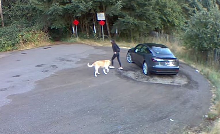 Video koji slama srce: Pas mahao repom, njegova vlasnica sjela u auto i ostavila ga