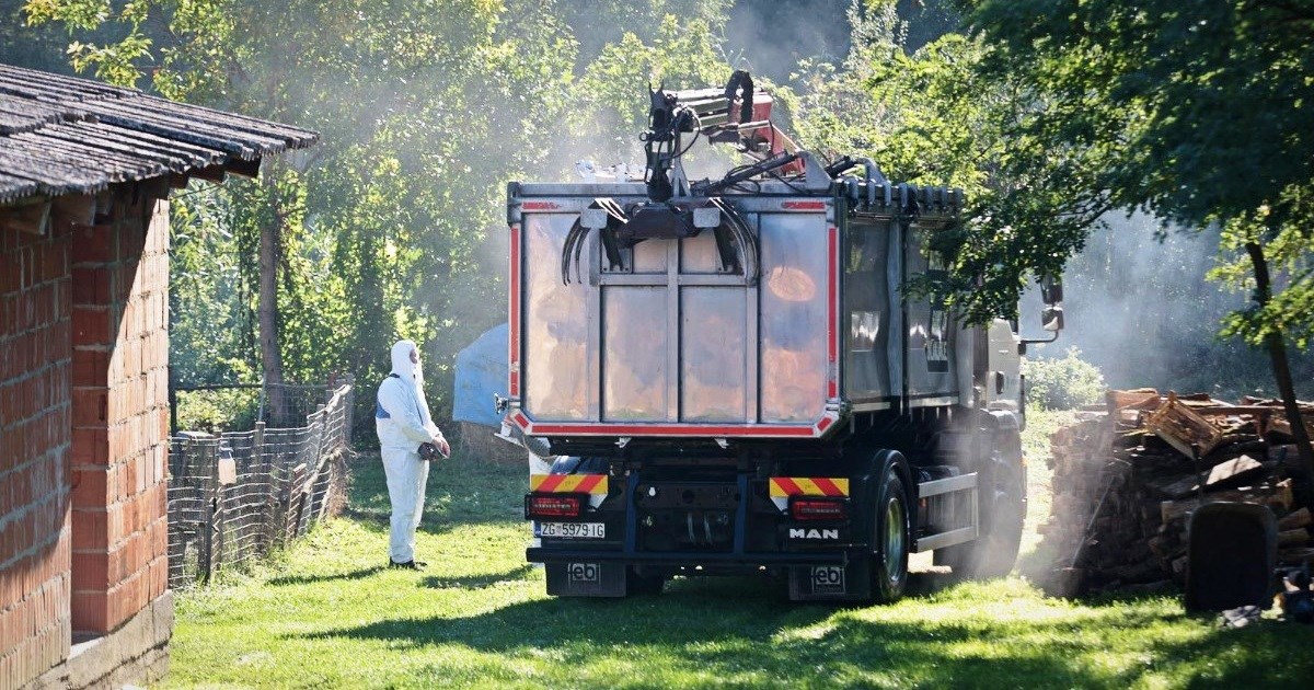 Potvrđena dva nova slučaja afričke svinjske kuge u Slavoniji