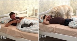 Urnebesni video otkrio razlike između života sa psom i onoga s mačkom