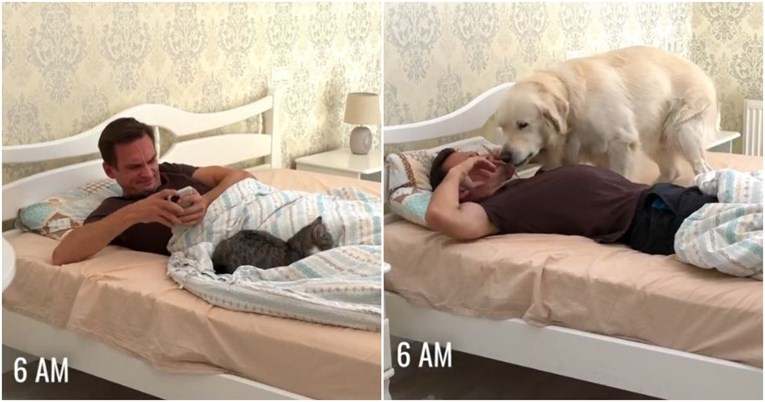 Urnebesni video otkrio razlike između života sa psom i onoga s mačkom