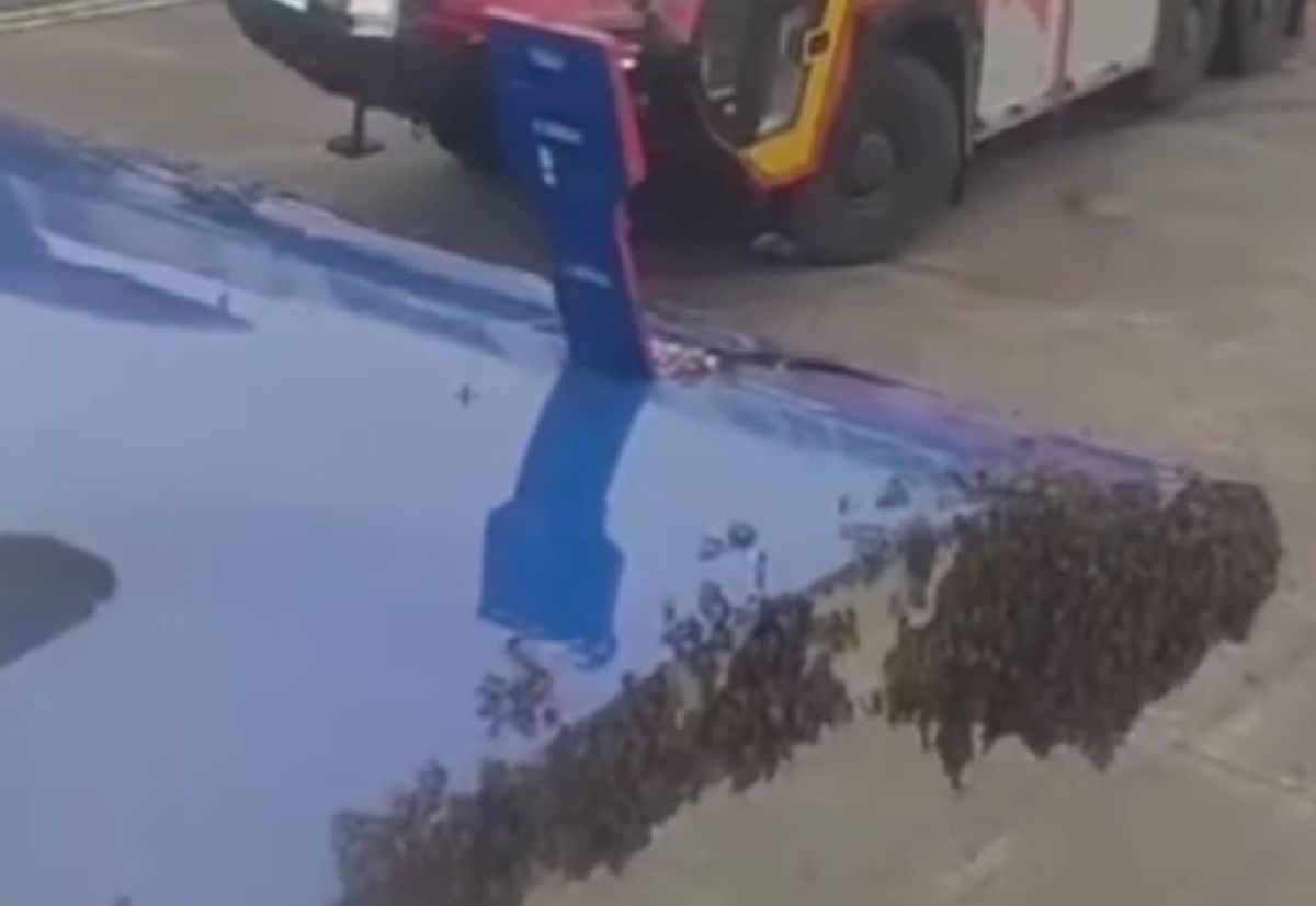 VIDEO Roj pčela sletio na vrata aviona u Indiji, morali su zvati vatrogasce