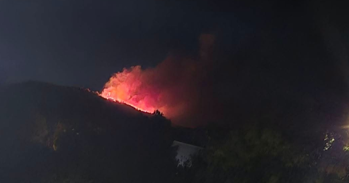 Buknuo šumski požar kod Dubrovnika, vatrogasci na terenu