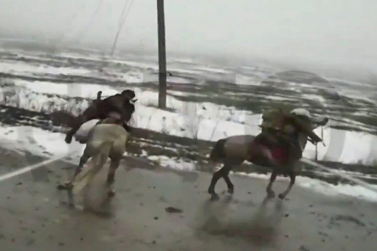 Kako su se u doba dronova konjanici iznenada vratili na bojište u Ukrajini