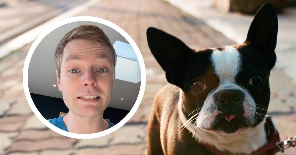 Veterinar otkrio kako uštedjeti na ljubimcima: Ovo su najskuplje greške vlasnika