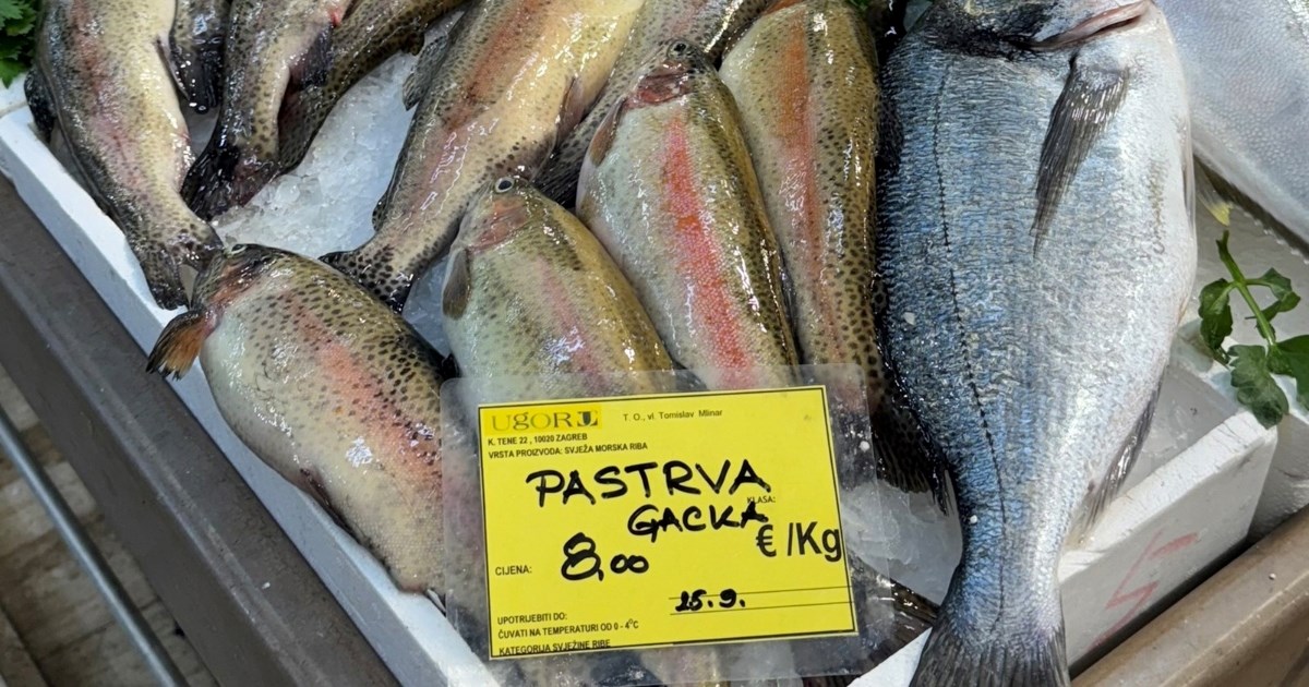 Najzdravije ribe koje biste trebali jesti barem dva puta tjedno