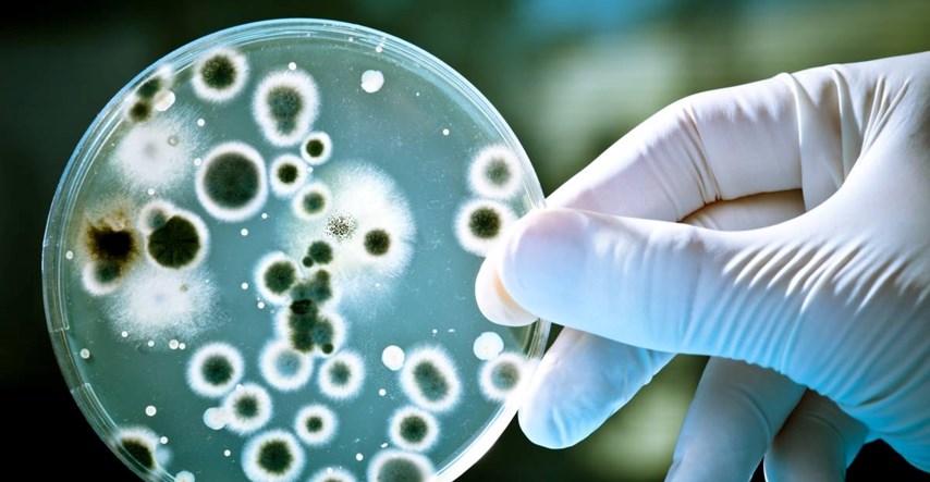 Otkrivena nevjerojatna molekula, uništava 300 bakterija otpornih na antibiotike