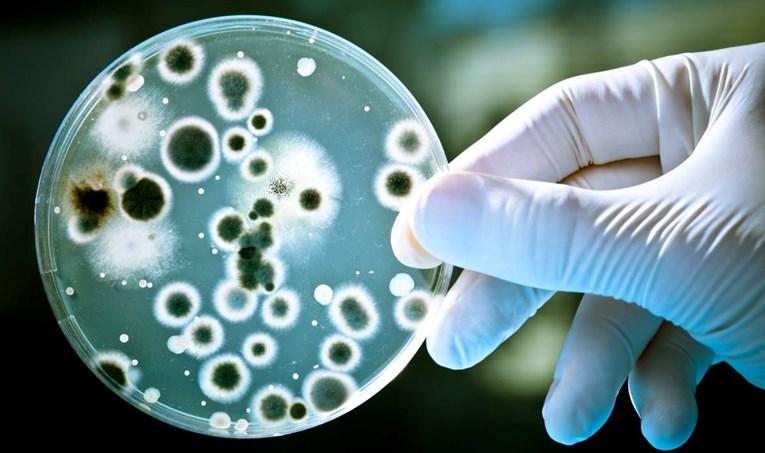 Otkrivena nevjerojatna molekula, uništava 300 bakterija otpornih na antibiotike