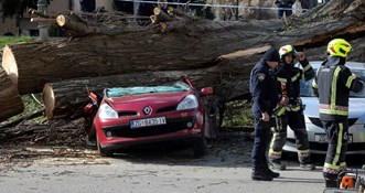 VIDEO Olujni vjetar srušio stablo na aute u Zagrebu, jedan je zdrobljen