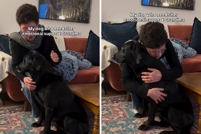 Baka pjevanjem tješi labradoricu koja se boji vatrometa, preslatke su 🥹