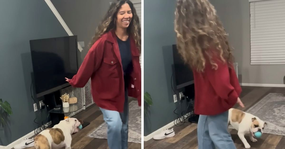 Simpatičan buldog osvojio je srca tisuća ljudi. Pogledajte kako pleše s vlasnicom