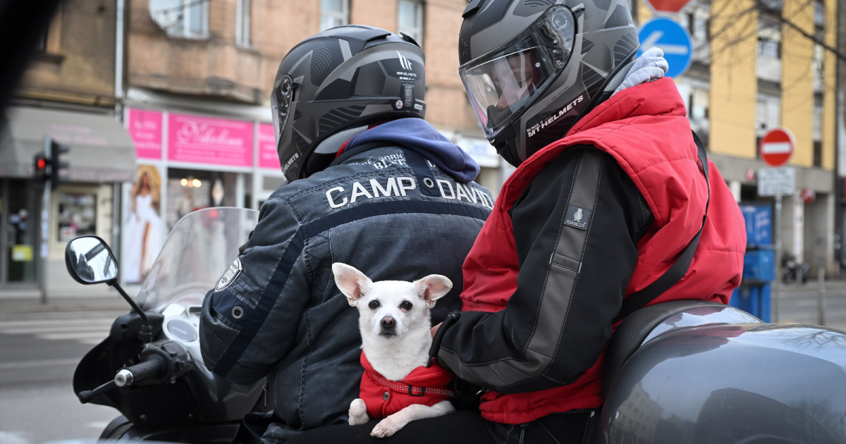 Fotka dana: Simpatični trojac na motoru ukrao poglede u centru Zagreba