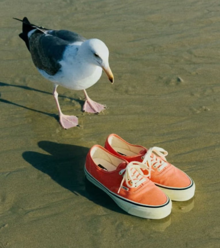 Vans ima novi model koji izgleda kao modni ulov desetljeća