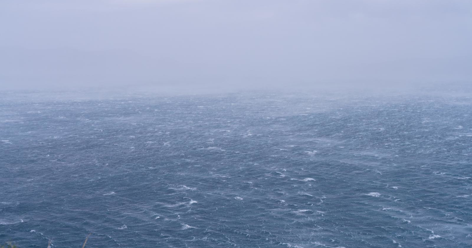 Zbog bure ograničenja na A1, u prekidu dvije katamaranske linije