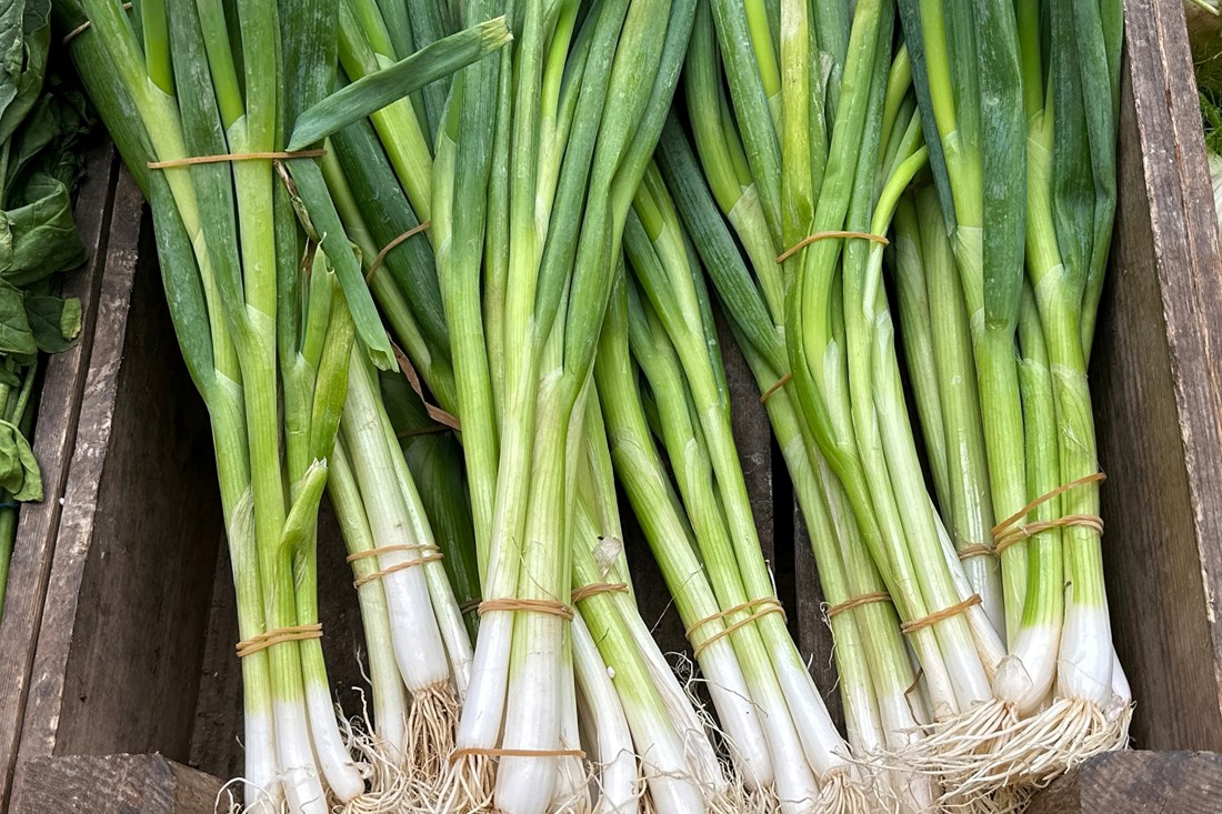 Većina ljudi baca zeleni dio mladog luka. Nemojte i vi, iskoristite ga